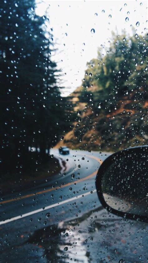 جمال المطر