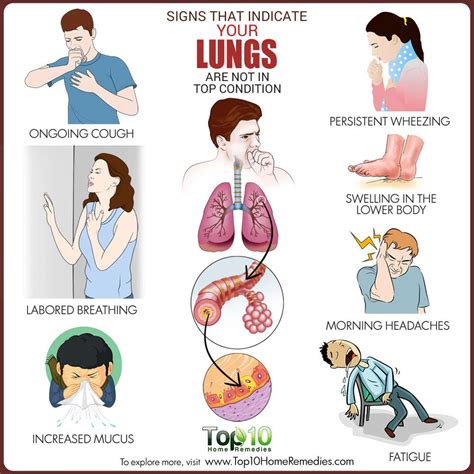 The early symptoms of lung cancer may be a slight cough or shortness of breath, depending on which part of the lung is affected, according to the additionally, there are other signs to look out for that could signify lung cancer that has spread to other parts of the body: Signs that Indicate Your Lungs Could be in Trouble | Top ...
