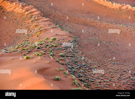 Aerial View Of High Red Dunes Located In The Namib Desert In The
