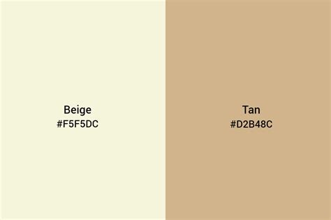All You Need To Know About Tan Color An Ultimate Guide