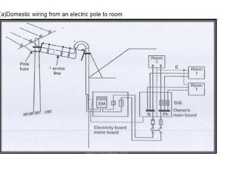 Plug Diagram Labelled Draw A Schematic Labelled Diagram Of Domestic