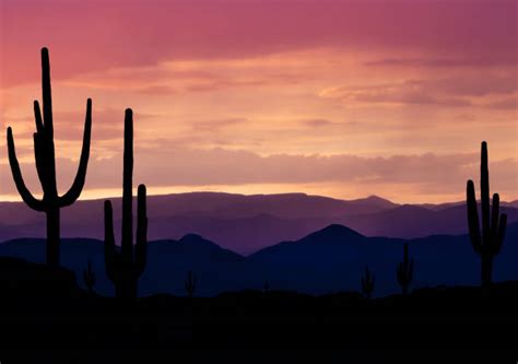 Arizona Desert Sunset Stock Photos Pictures And Royalty Free Images Istock