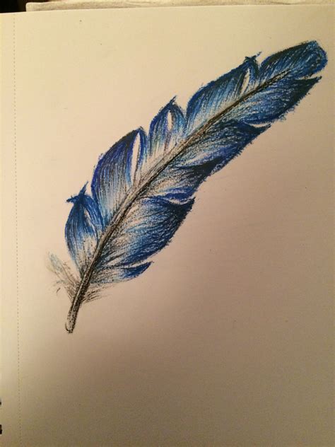 Oil Pastel Sketch Of A Feather Oil Pastel Art Drawings Drawings