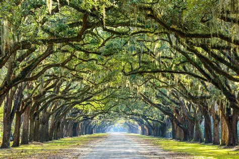 3 Day Trips For Kiawah Island Residents Kiawah Island Real Estate