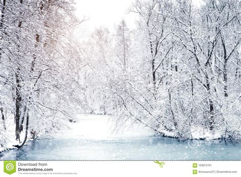 Beautiful Winter Landscape With Snow Covered Trees Happy