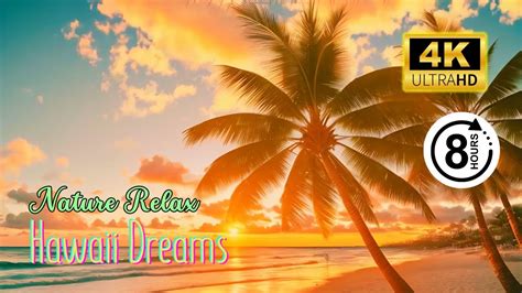 Hawaii Dreams Hours Of Serene Beats For A Tropical Escape Youtube
