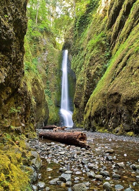 Lower Oneonta Falls Vertical Columbia River Gorge Oregon Photo