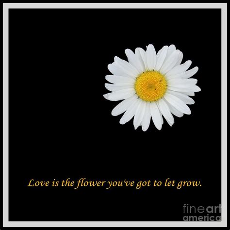 Love Is The Flower You Ve Got To Let Grow Photograph By Barbara A Griffin Fine Art America