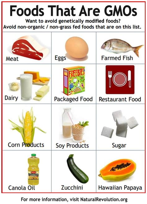 List Of Countries That Banned Genetically Modified Food Gmo Foods