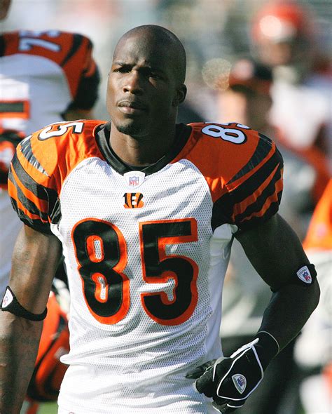 All Ochocinco All The Time Ibo Boxing