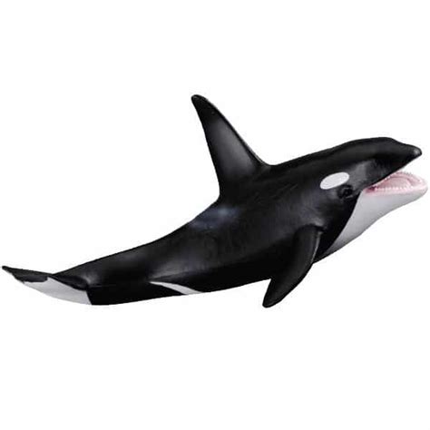 Killer Whaleorca Model By Collecta 88043 Red World Toys