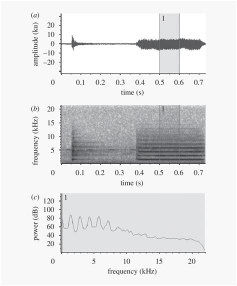 Waveform Spectrogram And C Power Spectrum Of 635x959 Spectrum