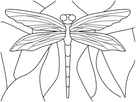 Dragonflies make a beautiful coloring subject. Free Printable Dragonfly Coloring Pages For Kids | Animal ...