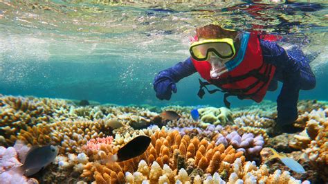 The Best Diving And Snorkeling In Australia Lonely Planet