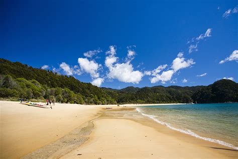 New Zealand Beaches North Island Beautiful Secret Beaches In New