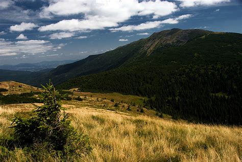 Die schützenswertesten regionen werden im nationalpark babia gora geschützt. GÓRSKIE WOJAŻE : Na szczyt Diablaka, czyli Babia Góra latem :)
