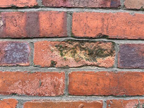 Emperor Paint The Ultimate Guide To Spalling Bricks