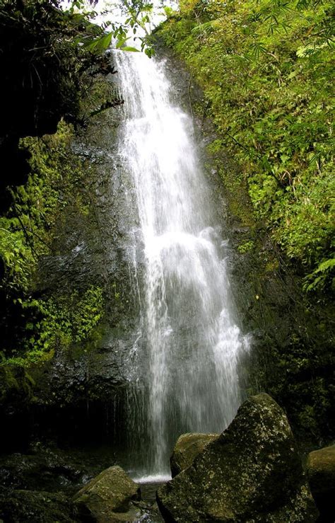 Cascade Tropicale Image Image 1097791