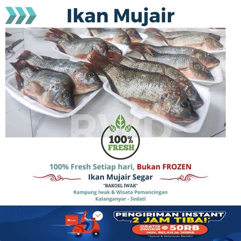 Jual Ikan Mujair Nila Segar Fresh Market Shopee Indonesia