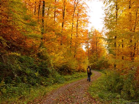 Autumn In Freiburg Mountain Photographer A Journal By