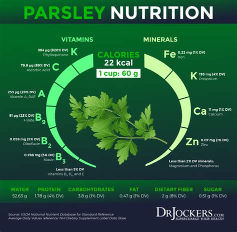 5 Amazing Health Benefits Of Parsley And Recipes