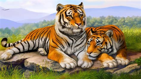 Tiger Couple Wallpaper Hd 3840x2400