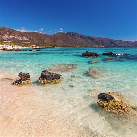 Tripadvisor Excursions