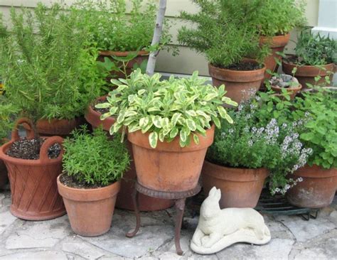 I Love Herb Gardens The Variation In The Pots And Heights Of Everything