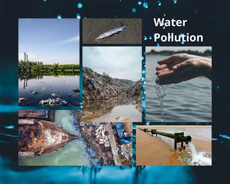 Consequences Of Water Pollution Effects On Health On Biosphere And On