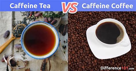 Caffeine In Tea Vs Coffee Differences Similarities Pros And Cons