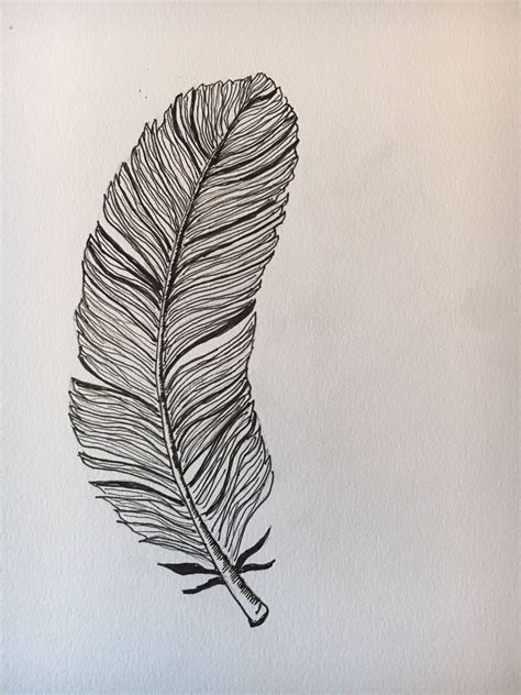 My First Feather Drawing Feather Drawing Drawings Abstract Artwork