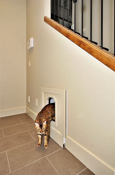 cat litter box under stairs at jack homan blog