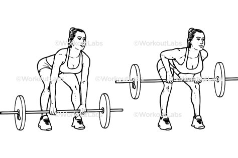 Bent Over Barbell Rows Workoutlabs Exercise Guide