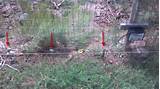 Images of Electric Wire Fence For Dogs
