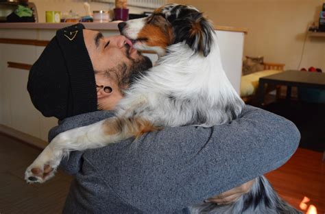 7 Adorable Ways To Hug Your Dog Show Your Pup Some Love Dog Mama Blog