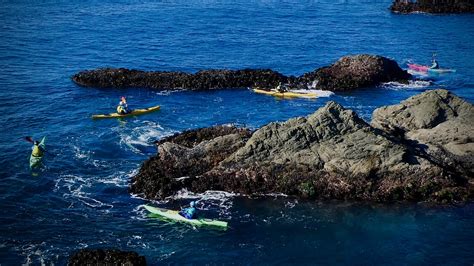 Liquid Fusion Kayaking Kayak Lessons On The Mendocino Coast