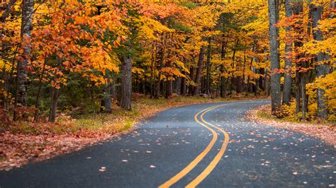 Autumn Drive Road 4k Hd Photography 4k Wallpapers Images Backgrounds Photos And Pictures