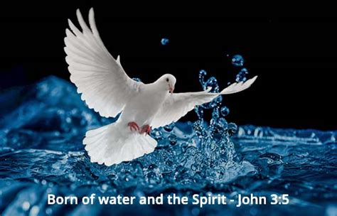 What Does Born Of Water And The Spirit Mean In John 35 Regeneration
