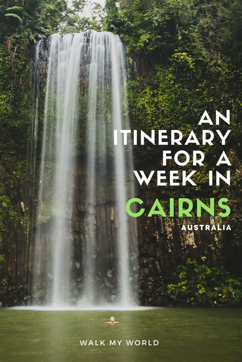 The Best 7 Day Cairns Itinerary Reef Rainforest And Waterfalls — Walk