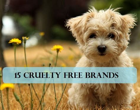 Makeup brands that test on animals. 15 Makeup Brands that Don't Test on Animals + Alternatives ...