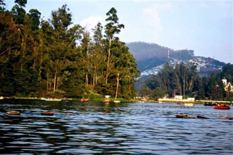 Ooty Lake Ooty Entry Fee Best Time To Visit Photos And Reviews