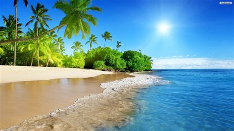 Tropical Beach Wallpapers On Wallpaperdog