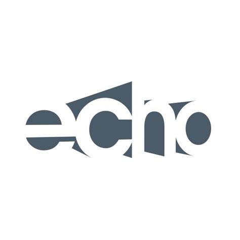 Echo Logo Corporate Identity Design Logo Design Logo Design Inspiration