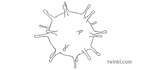 Bakteri Hitam Putih 1 Illustration Twinkl