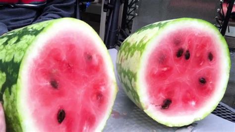 How To Tell If A Watermelon Is Ripe Youtube