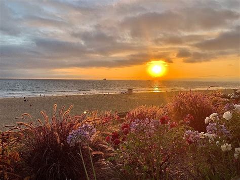 Breathtaking Sunset In Manhattan Beach Photo Of The Day Manhattan