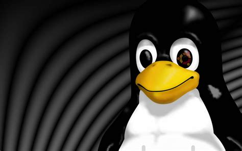 Linux Tux Wallpapers Top Free Linux Tux Backgrounds Wallpaperaccess