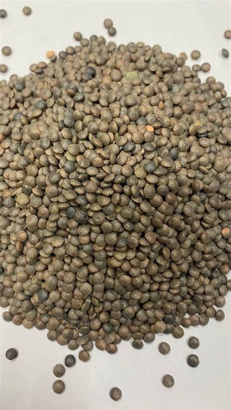 Weesholic Whole Masoor Dal High In Protein Packaging Size 30kg At Rs