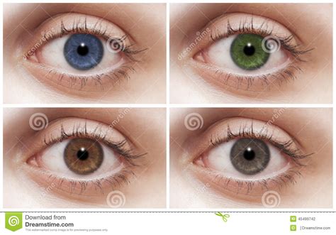 Eye Color Variation Eye Color Photos