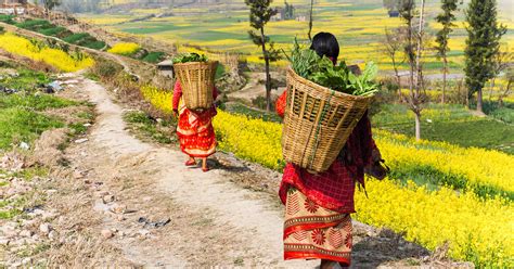 Nathan reiff has been writing expert articles and news about financial topics such as investing and trading, cryptocurrency, etfs, and alternative investments on … Doing well by doing good